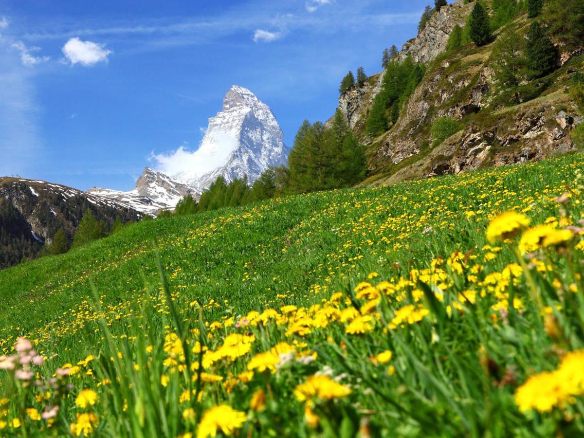 Apartment Lauberhaus By Interhome Zermatt Dış mekan fotoğraf