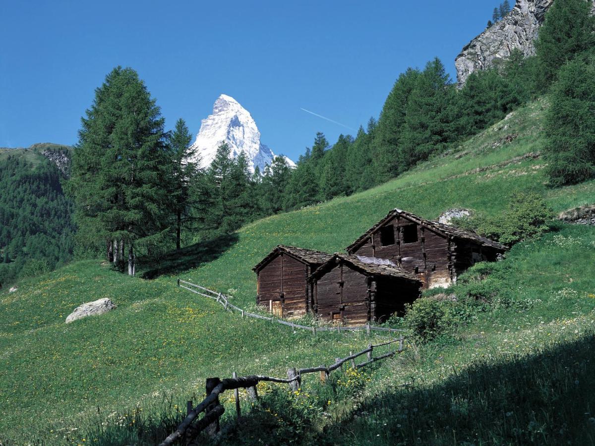 Apartment Lauberhaus By Interhome Zermatt Dış mekan fotoğraf